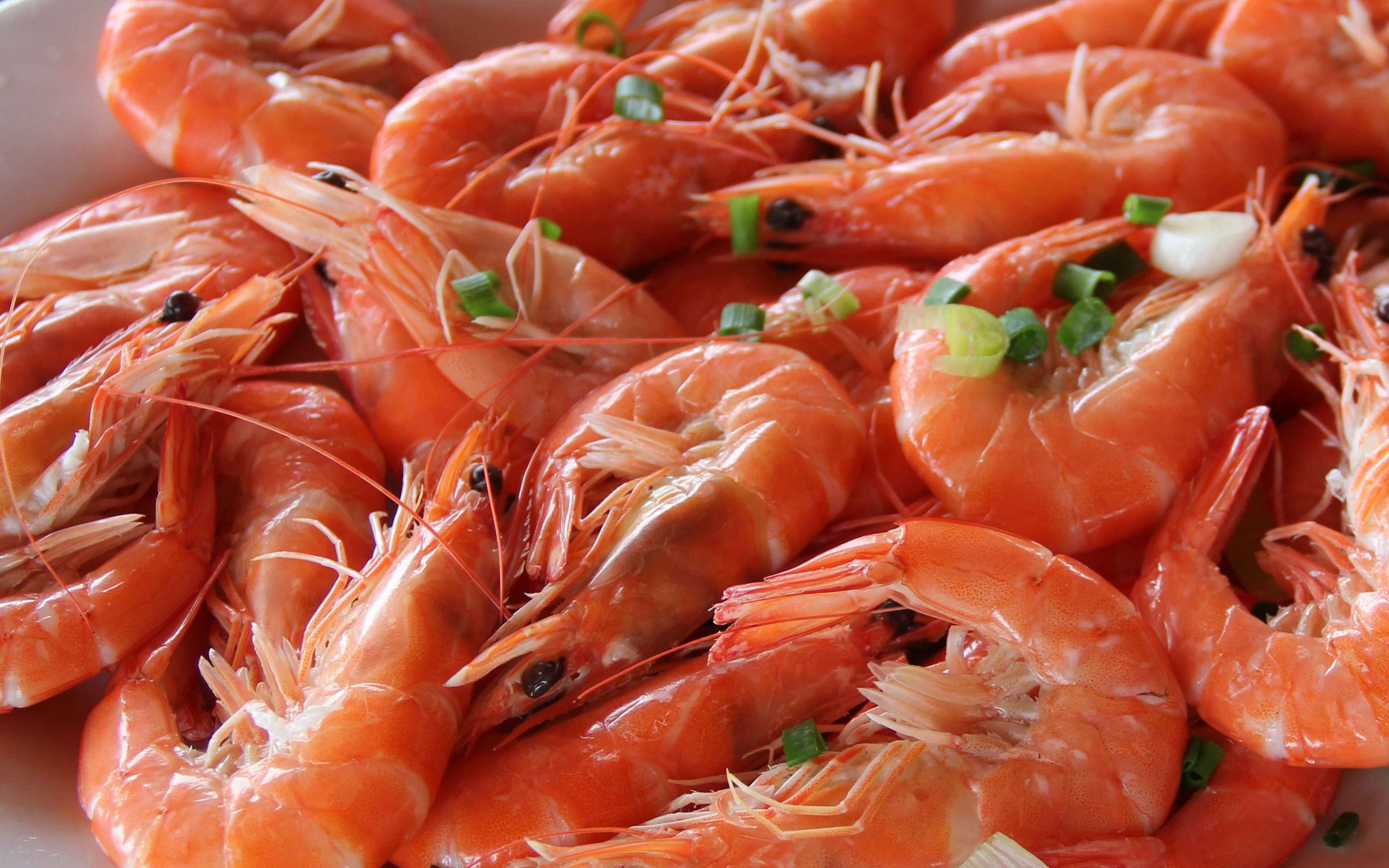 Черноморская креветка