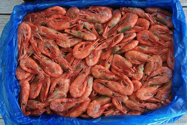 Креветки северные 80/100 Гренландия Greenland Prawns 5 кг